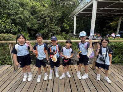 🦉 PBL - Grade 2's Wild Learning Adventure! 🦜