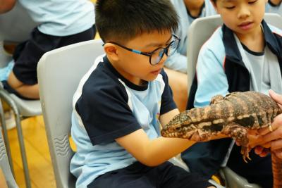 🦉 PBL - Grade 2's Wild Learning Adventure! 🦜