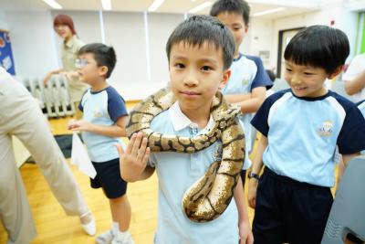 🦉 PBL - Grade 2's Wild Learning Adventure! 🦜