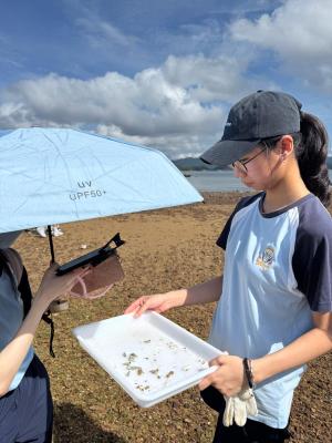 Exploring Biology and Ecology: A Field Study Experience