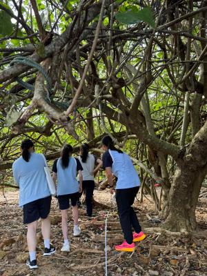 Exploring Biology and Ecology: A Field Study Experience