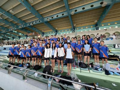 ✨Swimming Success at the Shatin and Sai Kung District Competition! 🏊♀️