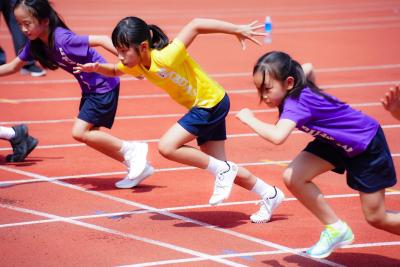 The 17th Athletic Meet (Primary Division)