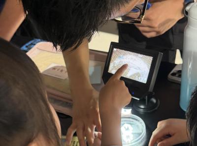 From Classroom to Ocean: First-Graders Learn About Marine Plastic Pollution