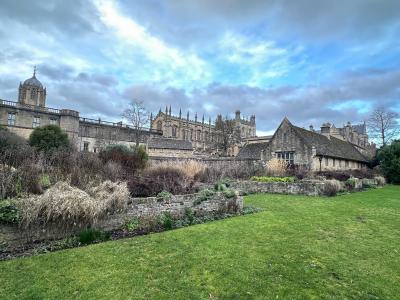 Connecting with Alumni Series: Celebrating the Excellence of Our Oxford Alumni (Part 2)✨