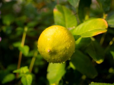春日校園：師生共長，繁花正好 