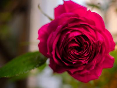 春日校園：師生共長，繁花正好 