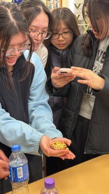 Into the Wild with A-School Grade 11 Biology Students!