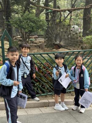 <<✨ 一年級自然探索之旅——香港動植物公園！🌿🐒>>