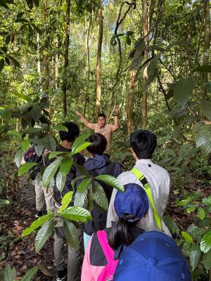 <<🌟 Live from Borneo!🌿>>