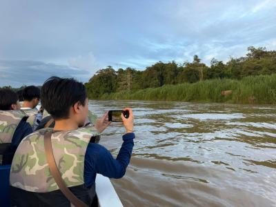 <<🌟 Live from Borneo!🌿>>
