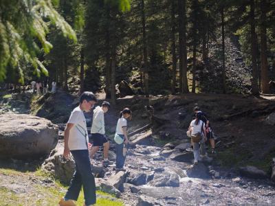 🌏 新疆研習日記｜天山天池 🏕️