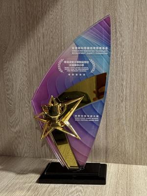 Celebrating Our Orchestra’s Hard Work: A Special Award at 2025 Joint School Music Festival Grand Performance